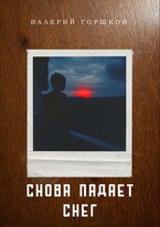 Снова падает снег (Валерий Горшков)