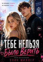 Тебе нельзя было верить (Элин Миллер)