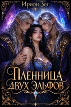 Пленница двух эльфов (Ирион Зет)