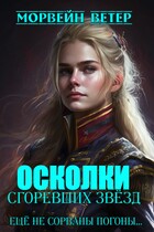 Осколки сгоревших звёзд. Книга 2. Ещё не сорваны погоны (Морвейн Ветер)