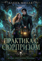 Практика с сюрпризом (Елена Милая)