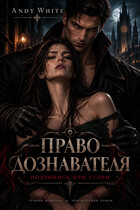 Право дознавателя: Подчинись или сгори (Andy White)