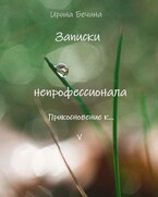 Записки непрофессионала. Прикосновение к…. (Ирина Бечина)